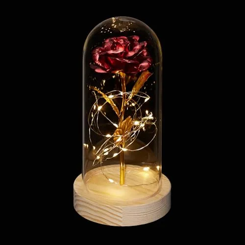 Relaxdays Ewige Rose im Glas, mit LED-Beleuchtung, Kunstrose als Mutter, Jahres-oder Valentinstaggeschenk, rot/Gold, 1 Stück