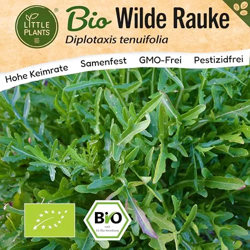 Saatgut von Little Plants