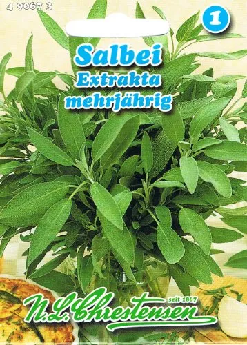 Chrestensen Salbei 'Salvia officinalis' Kräuter