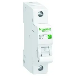 Schneider R9F24120 Leitungsschutzschalter 1polig, 20A, C-Charakteristik