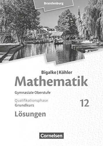 Mathematik - Brandenburg - Ausgabe 2019 - 12. Schuljahr: Grundkurs - Lösungen - Schule & Lernen: Umfassende Lösungen zum Schulbuch für effektives Lernen und bessere Noten im Mathematik Grundkurs.
