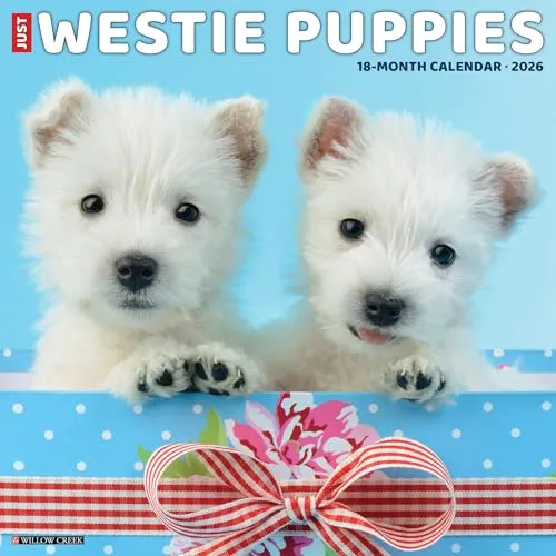 Westie Puppies 2026 12 X 12 Wall Calendar