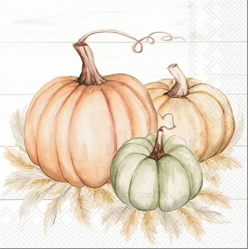 Servietten Pumpkin Trio - Kürbisse in pastell 33x33cm 20