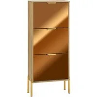 SoBuy Schuhkipper FSR181-H-G in gold von SoBuy