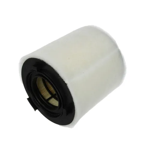 Mahle Luftfilter LX 2831