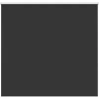 Produktbild vidaXL Verdunkelungsrollo Schwarz 150x150 cm