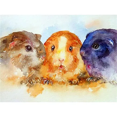 YSCOLOR Diamant Painting Diamant-Mosaik-Niedliches Meerschweinchen-Diamant-Malerei-Kreuzstich-Tierdiamant-Stickerei-Volle Runde Steine Zeigen Kunst-Handwerk An 30X40Cm