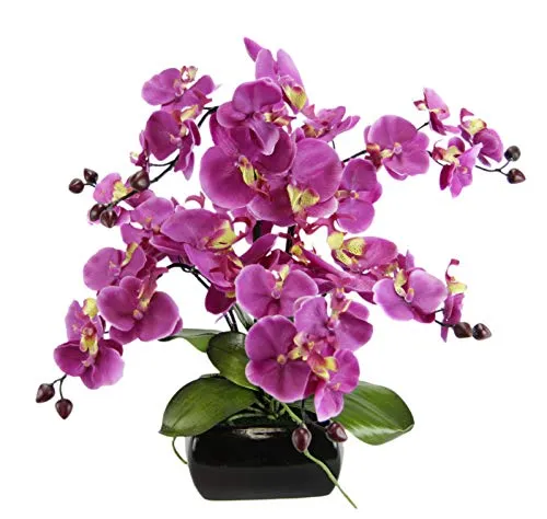 Kunstblume Orchidee Phalaenopsis mit Keramikschale von Flair Flower