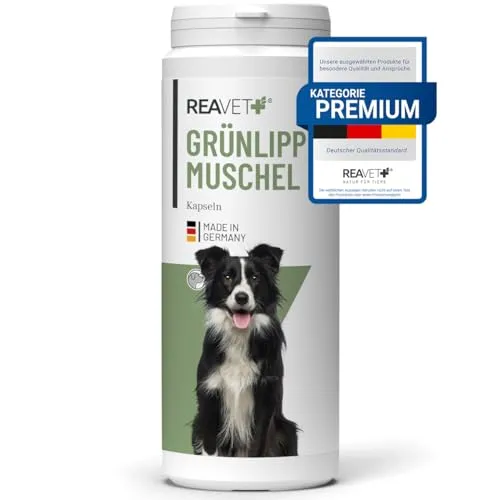 ReaVET Grünlippmuschel Kapseln für Hunde hochdosiert 300Stk - Gelenktabletten Hund mit Grünlippmuschelpulver in Vollfettqualität 10,2%, Grünlippmuschelextrakt für Gelenke