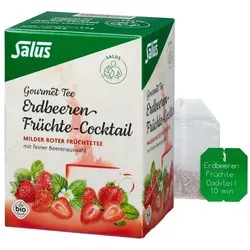 Erdbeer Früchtecocktail Tee Salus von Salus