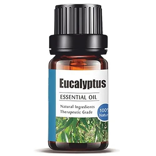 Naturreine Ätherische Öle - 100% Bio Qualität | Entdecken Sie die Vielfalt der Naturdüfte | Für Aromatherapie, Aromadiffuser, Massage und Badezusatz | für Körper und Geist | 10ml - Eukalyptus