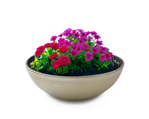 matches21 HOME & HOBBY Blumentopf Pflanzschale für draussen Dekoschale rund champagner beige 20 cm (1 St), Blumen-Schale als wetterfeste Friedhof-Schale Grab-Schmuck Grabschale