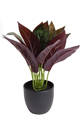 Flora-Seta GmbH Kunstpflanze (Alocasia, Dieffenbachia, Aglaonema, Zebrina, Calathea, Monstera) Höhe 20-30 cm im schwarzen Kunststofftopf (Calathea)