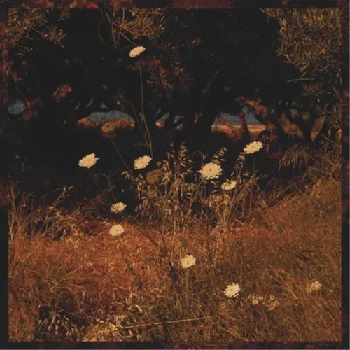 Szun Waves Earth Patterns (Vinyl) 12