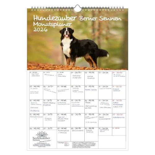 Hundezauber Berner Sennen Planer DIN A3 Kalender für 2026 Welpen und Hunde - Seelenzauber
