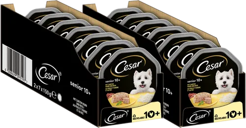 CESAR® Schale Senior 10+ mit Huhn und Reis 14 x 150g