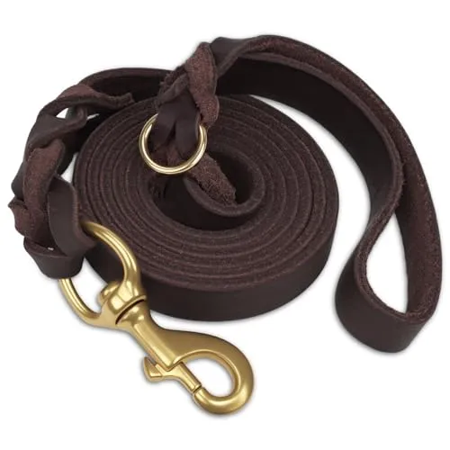 Joytale Hundeleine Leder, Strapazierfähige Lederleine aus Echtem Rindsleder mit Messinghaken, Weich & Langlebig, Führleine für Mittelgroße und Große Hunde – auch zum Training（Braun, 150cm×2cm）