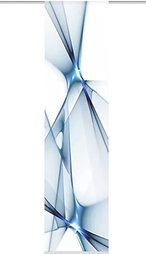 Home fashion Franklin Schiebevorhang, Blau, 245X60 cm - Schiebevorhang in moderner Seidenoptik mit fotorealistischen Motiven, ideal für stilvolle Raumgestaltungen. Inkl. Paneelwagen und Zubehör für einfache Montage.