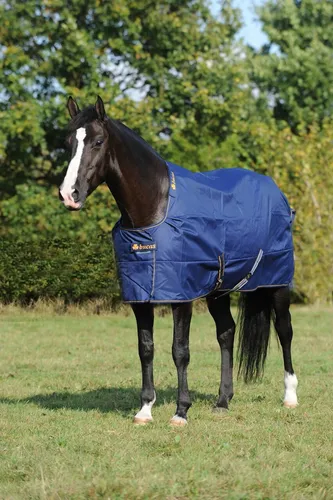 BUCAS Irish Turnout 50 g Navy Gold Winterdecke von Bucas
