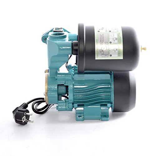 DAMBAT Hauswasserwerk WZI250 - 250W Gartenpumpe - Landwirtschaftliche Bewässerungspumpen mit 2L Druckbehälter, 2100 l/h Förderleistung und thermischem Motorschutz für zuverlässige Bewässerung.