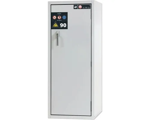 Asecos feuerbeständiger Gasflaschenschrank G90.6-10