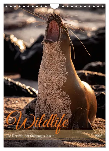 Wildlife - Die Tierwelt der Galapagos Inseln (Wandkalender 2026 DIN A4 hoch), CA