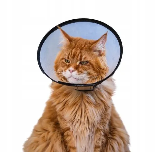 TRIXIE Schutzkragen mit Klettverschluss