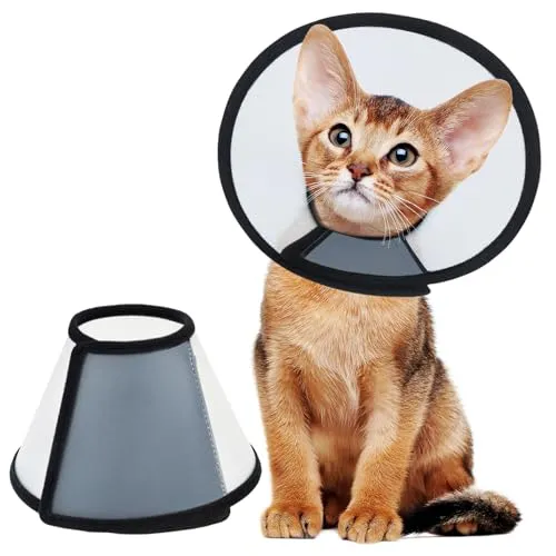 Vivifying Halskrause Katze, 18,2-22,8cm Leichter Kunststoff Elisabethanischer Kragen für Katzen, Kleine Hunde und Kaninchen (Schwarz-M)