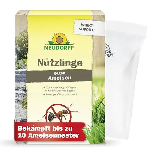 Neudorff Insektenspray Nützlinge gegen Ameisen - Natürliche Ameisenbekämpfung mit 5 Mio. Nematoden für effektiven Einsatz in Beeten, Kübeln und auf Terrassen. Einfache Anwendung durch Auflösung in Wasser.