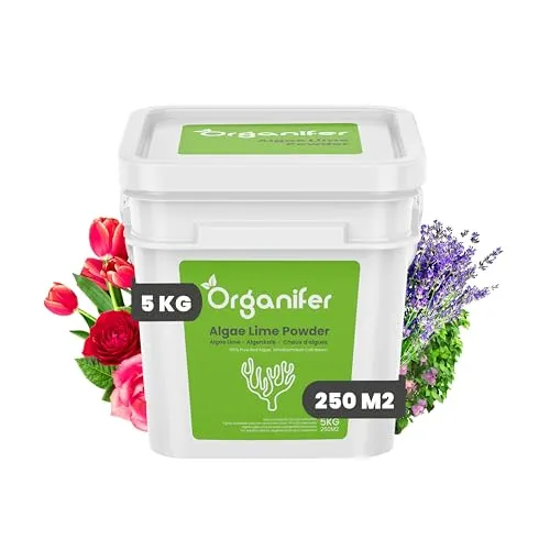 Algenkalk Pulver - 5 kg für 250 m2 - Reines Lithothamnium Calcareum - Ideal Für Buchsbäume Und Gartenpflege - Enthält Kalzium Und Magnesium - Organifer