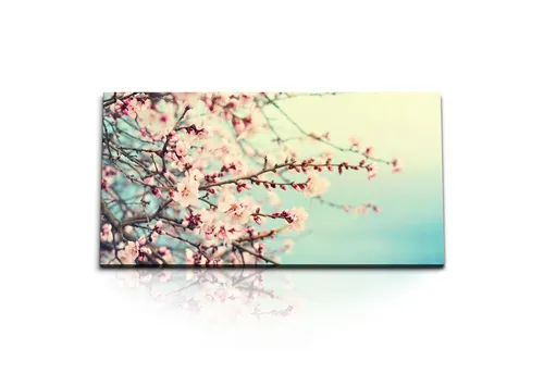 Poster & Bildende Kunst Pink von Sinus Art