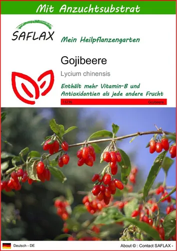 SAFLAX Blumensamen SAFLAX - Samen und Substrat - Gojibeere