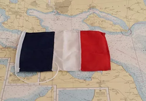 Flagge 20 x 30cm FRANKREICH SB-Pack