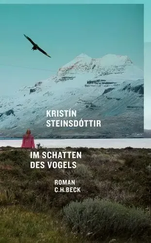 Im Schatten des Vogels: Roman, Kristin Steinsdottir