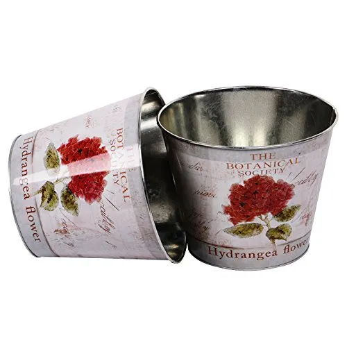 UNUS Topf Zink rund Hortensie 2er Set rot