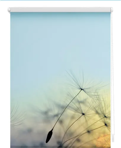 Lichtblick Rollo Klemmfix Pusteblume Blau 45 x 150 cm - Rollos ohne Bohren für einfache Montage, 100% Verdunkelung und stilvolles Design mit Pusteblumenmotiv.