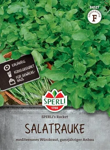 Sperli Salatraukesamen SPERLI's Rocket 84527 von SPERLI