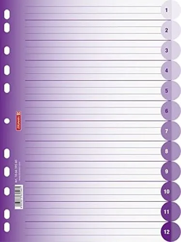 Brunnen 106659560 Ordnerregister Colour Code, PP, halbrund, A 4, 225 x 2, violett