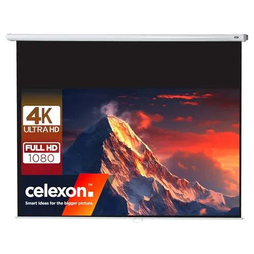 celexon Economy Rollo-Leinwand 100