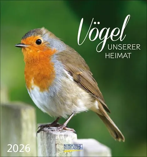 Vögel unserer Heimat 2026: Aufstellbarer Postkartenkalender mit Bildern von Vögeln in der Natur der Heimat. Tisch- und Wandkalender.