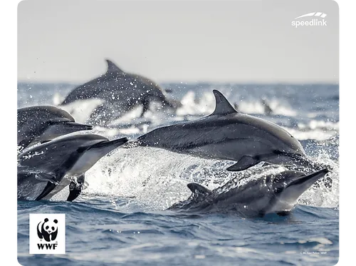 SPEEDLINK TERRA WWF Mousepad, Delfin-Motiv von Speedlink