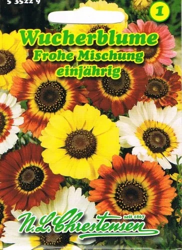 Wucherblume 'Frohe Mischung' einjährige, vielseiter Massenblüher 'Chrysanthemum carinatum' Chysantheme
