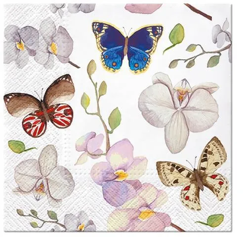 Servietten Orchidea Butterfly Schmetterlinge Orchideen Blumen Tiere 33x33cm 20