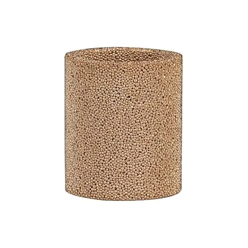 RIEGLER 101114-810.6.950 Filterelement 50 µm, Sinterbronce, für Kombi-Wartungseinheit BG 1, 1Stk