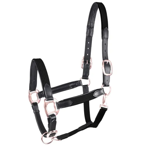 Waldhausen Schwarz/Rosegold VB Halfter Star Mix