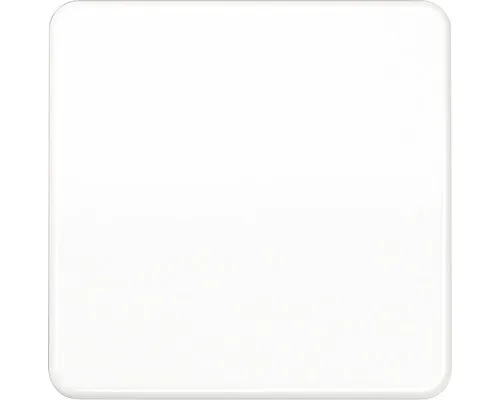 Jung CD 1700 WW Steuertaste Standard CD500 alpinweiß von Jung