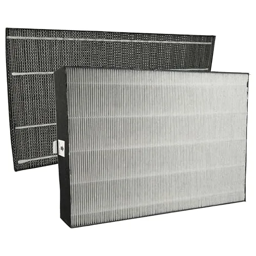 vhbw 2-teiliges Filter-Set Ersatz für Sharp FZ-A61DFR, FZ-A61HFR für Luftreiniger - Aktivkohlefilter, HEPA-Filter