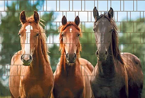 zaunzu Sichtschutzstreifen Pferde 2,5m x 1,8m - Hochwertige Sichtschutzstreifen mit fotorealistischen Pferdemotiven für Doppelstabzäune. Wetterfest, UV-beständig und pflegeleicht – ideal für eine stilvolle Gartenatmosphäre und ungestörte Privatsphäre.