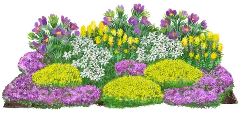 Dehner Staude Bio Stauden-Set Alpenliebe – 18 Pflanzen für sonnige Standorte - Entdecken Sie das exklusive Bio Stauden-Set Alpenliebe mit 18 Pflanzen. Ideal für sonnige Plätze, bringt es Farbe und Vielfalt in Ihren Garten. Perfekt für kreative Gartenprojekte!