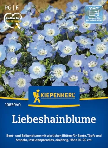 Kiepenkerl Liebeshainblumensamen Blaue Nemophila 1063040 - Beet- und Balkonblume mit zierlichen Blüten für Beete und Töpfe - Pflanzen, Blumensamen, Saatgut